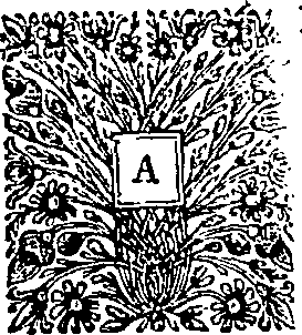 099/099600030700080_0.png