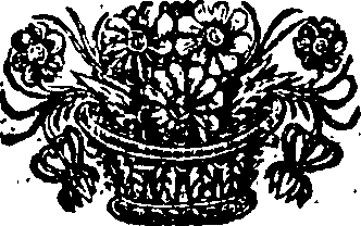 099/099600030800540_0.png