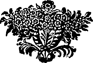 099/099600030805720_0.png