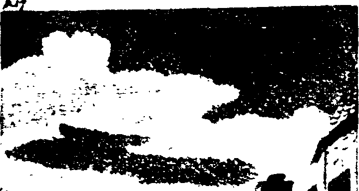 099/099770060000210_0.png