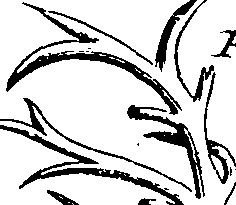 099/099770080301250_0.png