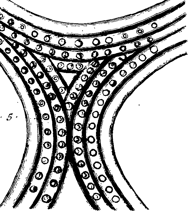 099/099770080301250_1.png