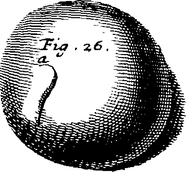 099/099770080301690_1.png