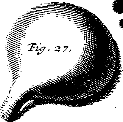 099/099770080301690_2.png