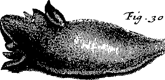 099/099770080301690_3.png