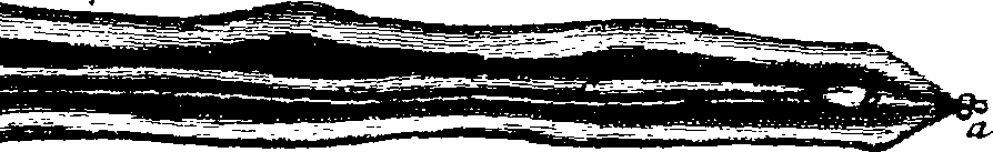 099/099770080301690_5.png