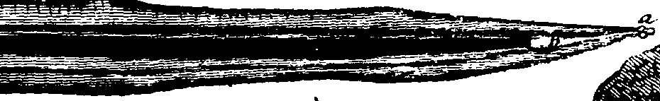 099/099770080301690_6.png