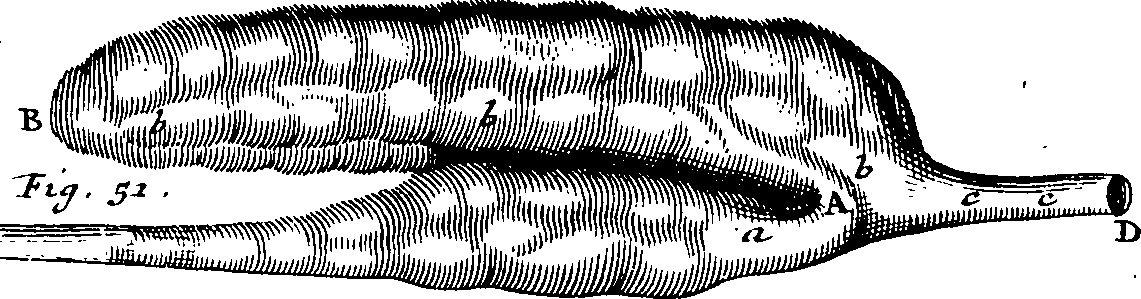099/099770080302180_1.png