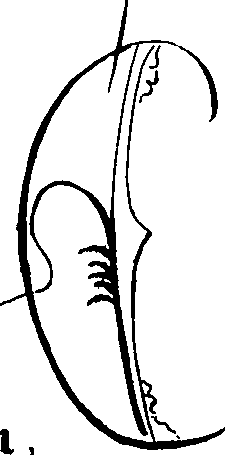 099/099820010005340_3.png