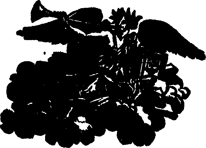 099/099840150000240_0.png