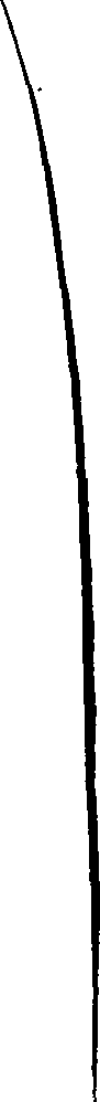 099/099880060000260_0.png