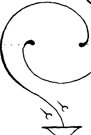 099/099880060000570_0.png