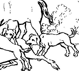 099/099900050201520_0.png