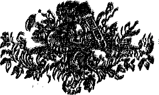 099/099940040400010_0.png