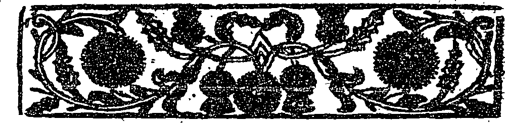 100/100020050000020_0.png