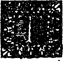 100/100040040003500_0.png