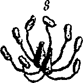 100/100060080000080_0.png