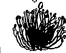 100/100060080000110_1.png