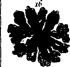 100/100060080000260_0.png