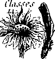 100/100060080000260_1.png