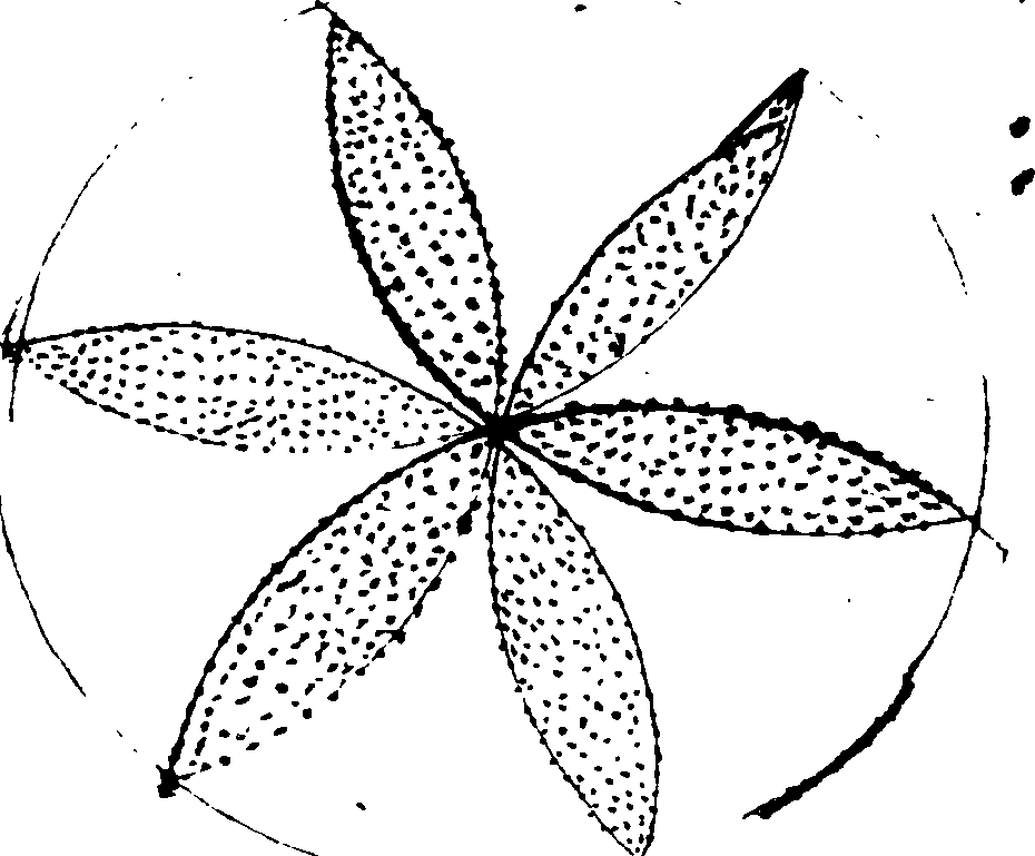 100/100080020003540_0.png