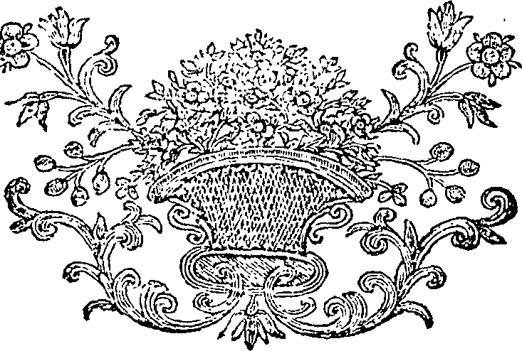 100/100230010200810_0.png