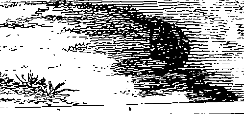 100/100250040101260_0.png