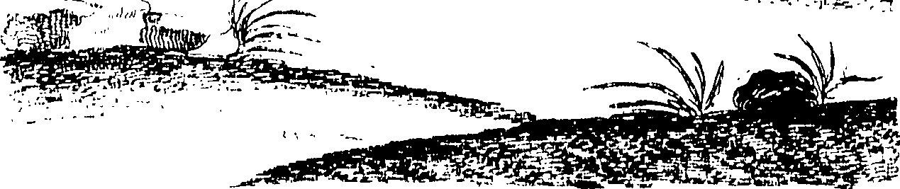 100/100250040102320_0.png