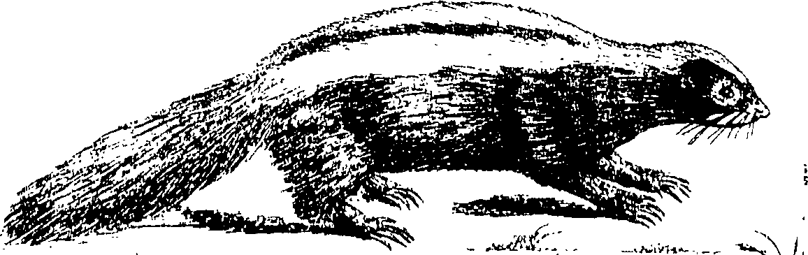 100/100250040102320_1.png