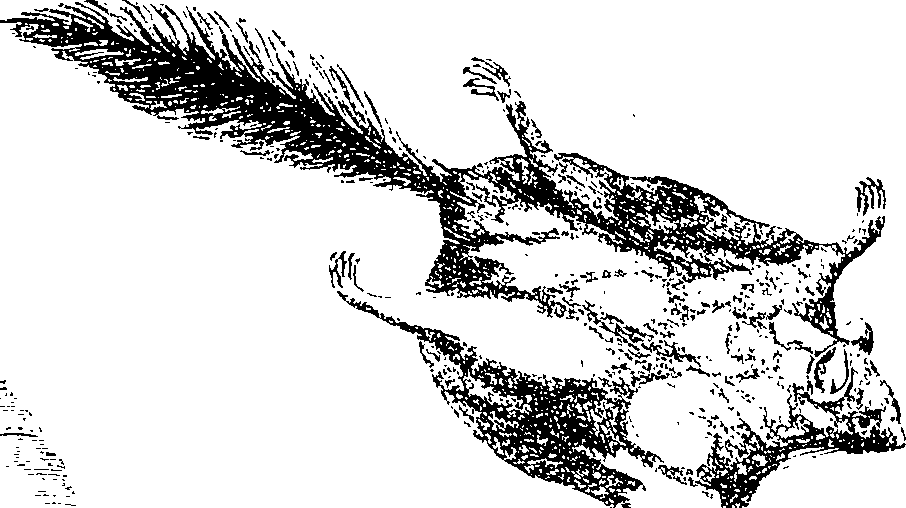 100/100250040102710_0.png