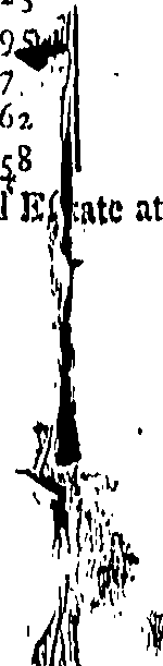 100/100340010000010_0.png
