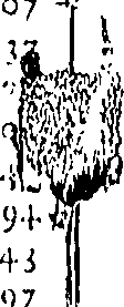 100/100340010000010_1.png