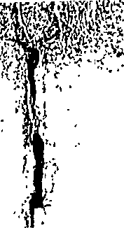 100/100340010000030_2.png