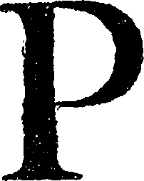 100/100360150000010_1.png