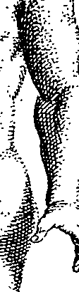 100/100460020004320_0.png