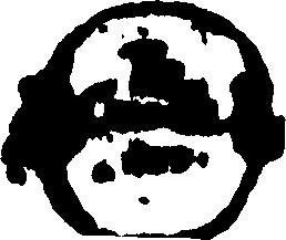100/100550010307390_0.png