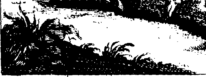 100/100600030100010_0.png