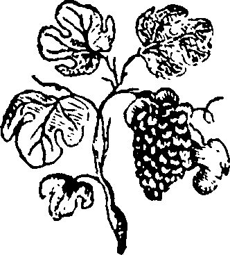 100/100610010303220_0.png