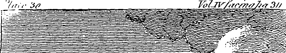 100/100610010403250_0.png