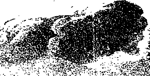 100/100610040001650_0.png