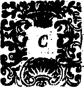 100/100620020000080_0.png