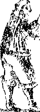 100/100740010001360_0.png