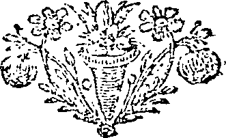 100/100740020202780_0.png