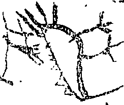 100/100740030000010_0.png