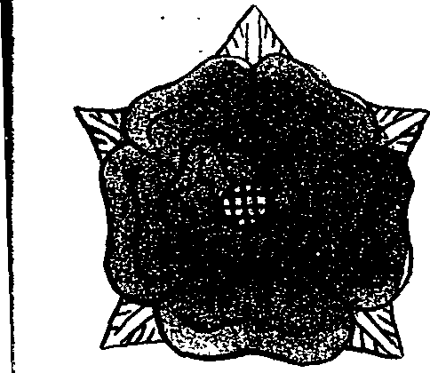 100/100880010100790_1.png