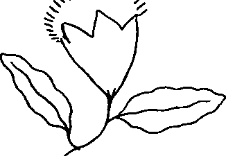 100/100880010203740_0.png