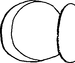 100/100880010405270_1.png