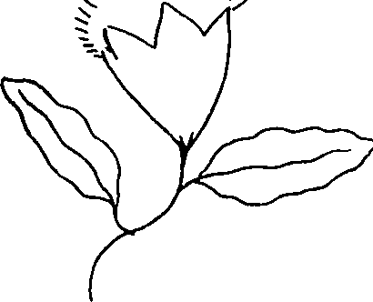 100/100890070103640_0.png
