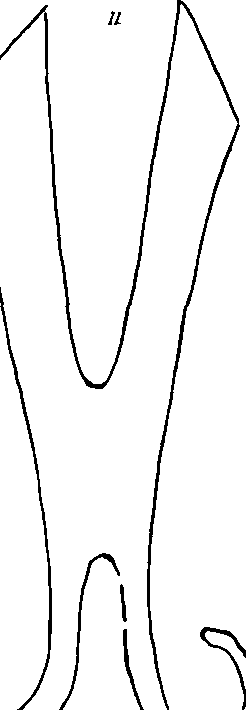100/100890070103670_3.png