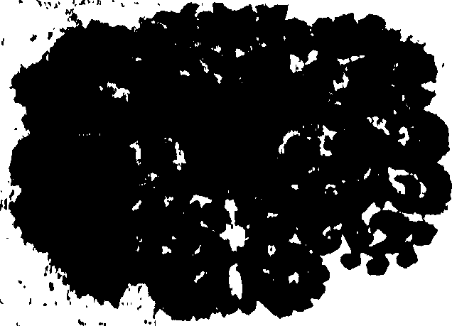 100/100950040000010_0.png